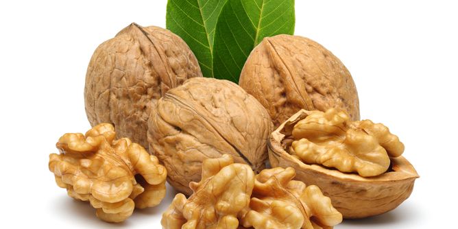 الجوز...يخفض الكوليسترول ويقوي المناعة