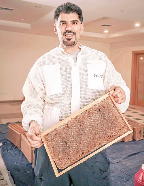 د. العيسى وانتاجه الوفير من العسل د. العيسى وانتاجه الوفير من العسل